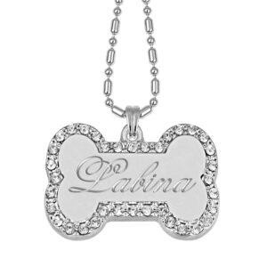 Silver Collar Tag with White Zircon