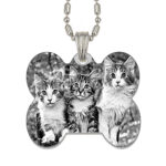 Silver Collar Tag Memory Photo Pendant