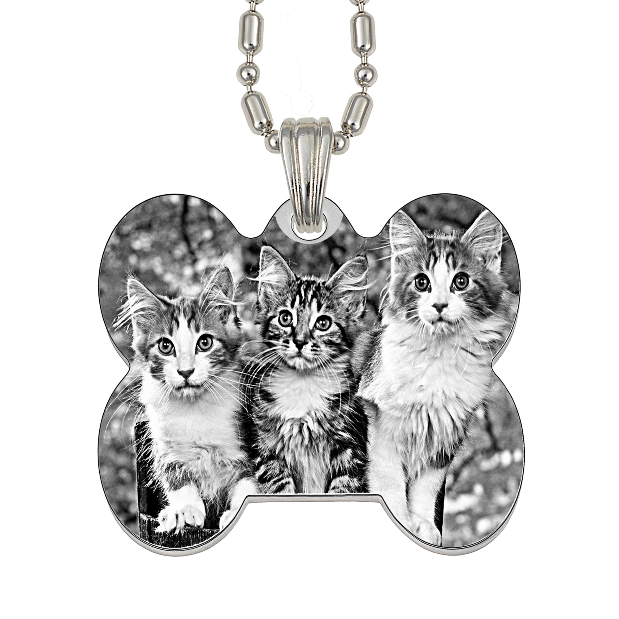 Silver Collar Tag Memory Photo Pendant